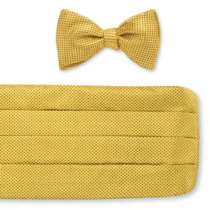 Gold Runnymede Pin Dots Cummerbund Set - CB5213