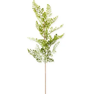 Maidenhair Fern Stem - 35"