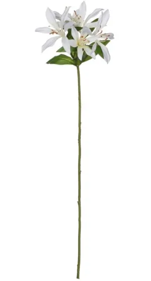 Tiger Lily Stem - 25" White