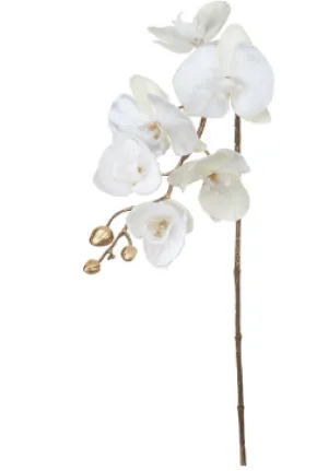 Velour Shimmer Phalaenopsis Spray - 31"