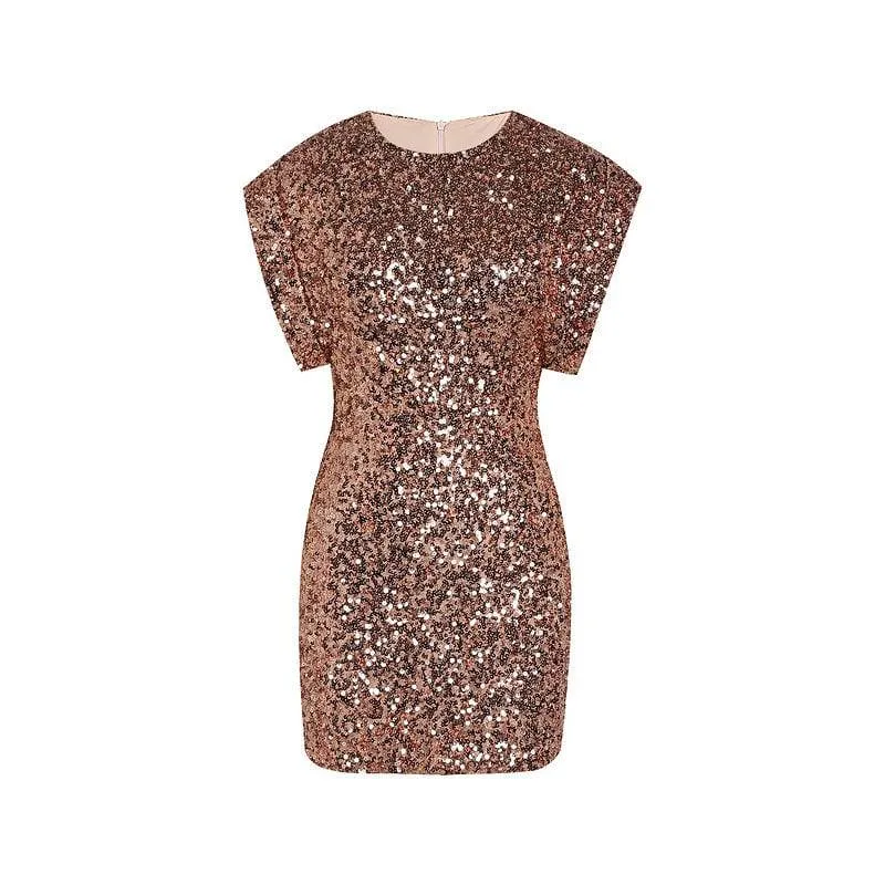 Vicki Crewneck Short-Sleeved Sequined Mini Dress